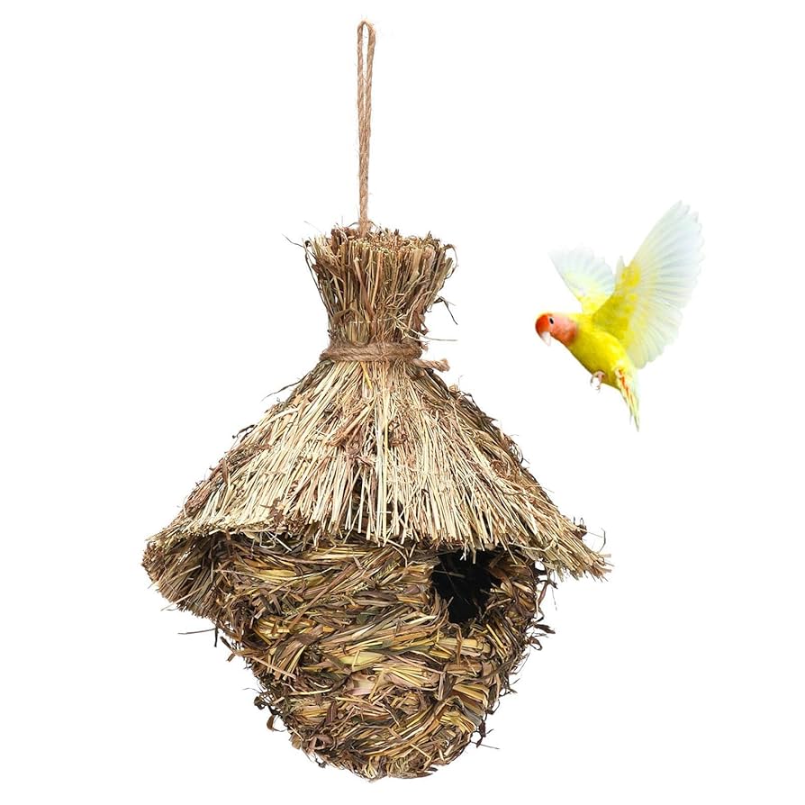 天然 希少 鳥の巣 インテリア ハタオリドリ科 メス Amazon.co.jp: ハチドリの巣の家 - 手織りのハチドリの巣,家、家